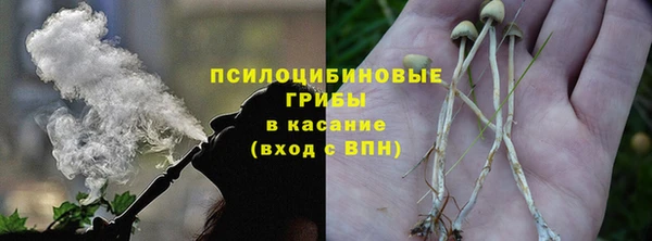 а пвп мука Бородино