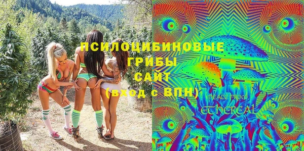 шишки Богданович
