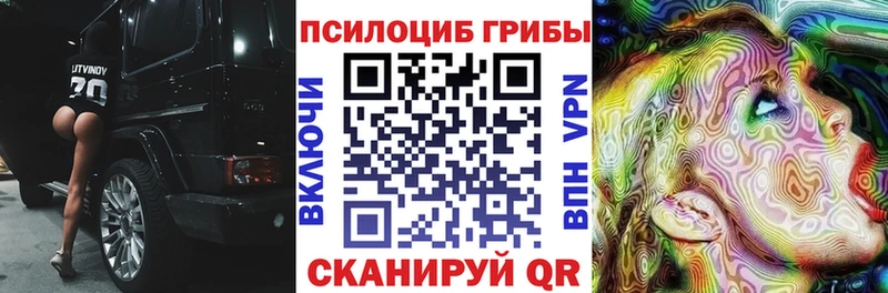 купить наркоту  Котельнич  Галлюциногенные грибы мицелий 